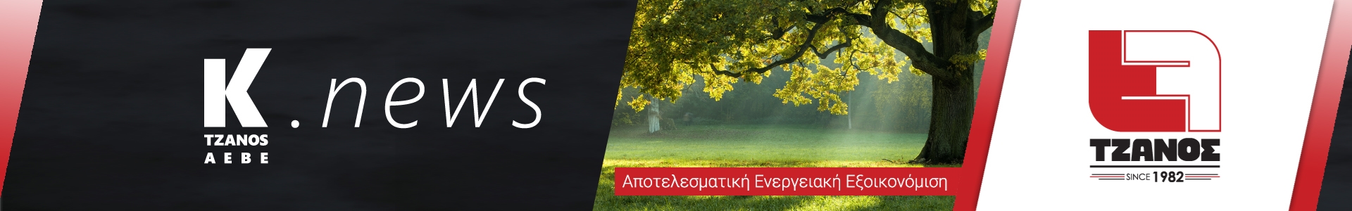 Αποτελεσματική Ενεργειακή Εξοικονόμηση